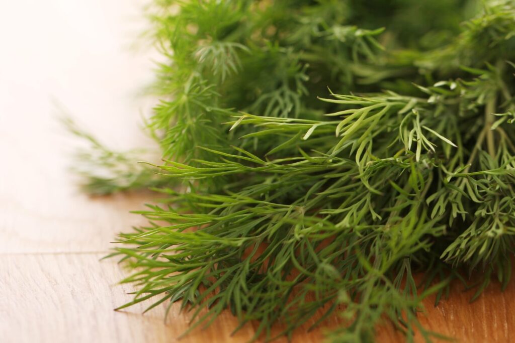 is dill weed the same as dill